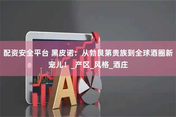 配资安全平台 黑皮诺：从勃艮第贵族到全球酒圈新宠儿！_产区_风格_酒庄