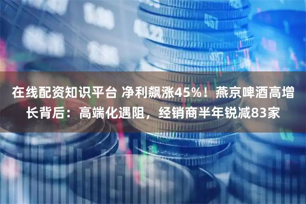 在线配资知识平台 净利飙涨45%！燕京啤酒高增长背后：高端化遇阻，经销商半年锐减83家