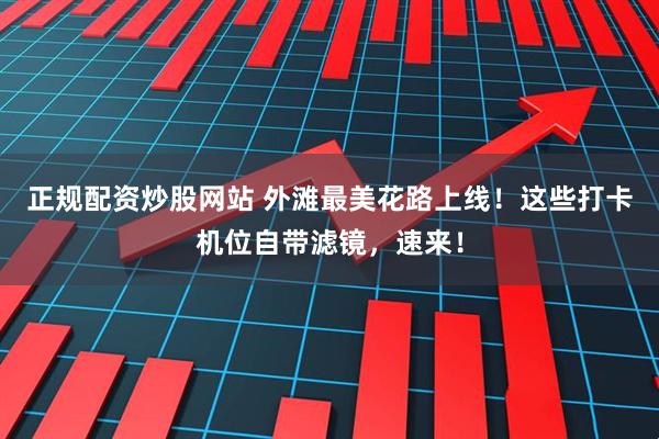 正规配资炒股网站 外滩最美花路上线！这些打卡机位自带滤镜，速来！